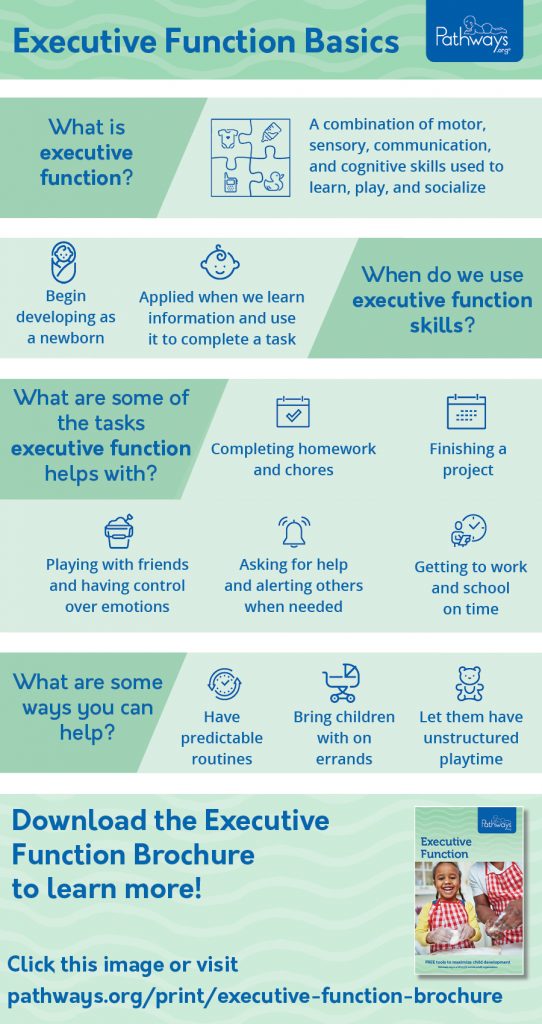 executive_function_infographic