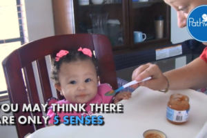 7senses